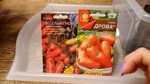 Самые урожайные томаты!