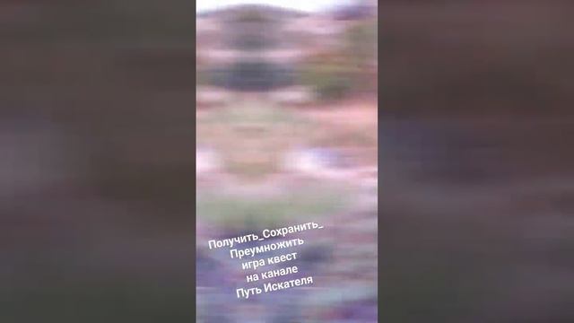 https://t.me/PathOfSeeker