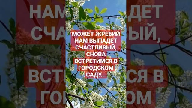 МОЖЕТ ЖРЕБИЙ НАМ ВЫПАДЕТ СЧАСТЛИВЫЙ, СНОВА ВСТРЕТИМСЯ В ГОРОДСКОМСАДУ...