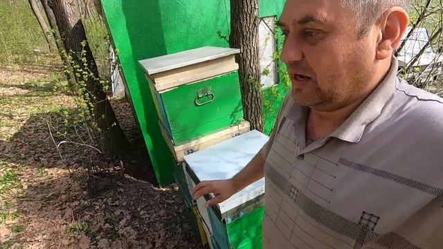 ✅ Будет ли майский мед! Пасека на связи! #ПЧЕЛОВОДСТВО8 смотреть онлайн