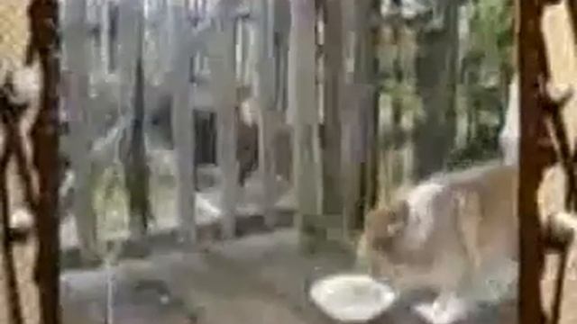 Сам себе режиссер смотреть онлайн