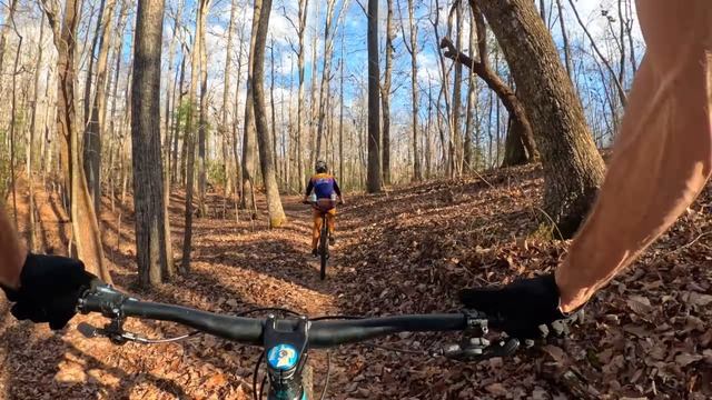 It was a BATTLE to get to the good stuff ｜ Mountain Biking DuPont State Forest