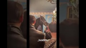 лезгин белаш "мои друзья" 💞