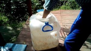 Абрикосовое вино от А до Я.