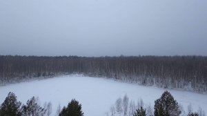 Зимняя прогулка к озеру в лесу
