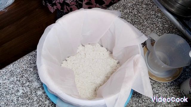 01.04.24. Сир КАНЕСТРАТО: рецепт з козячого молока в домашніх умовах + поради...