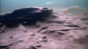 Щербинки 08.01.2025г.