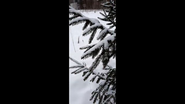 ЗИМНЯЯ СКАЗКА