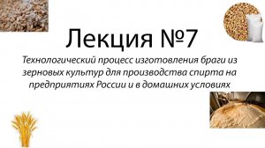 Технологический процесс изготовления браги из зерновых культур для производства спирта – лекция №7