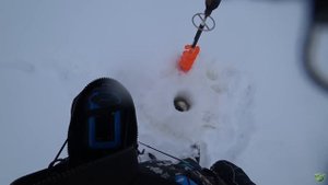 Злые судаки жадно били этот ВИБ. Рыбалка на судака.