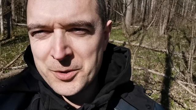 Geriausias vitaminų šaltinis pavasarį - meškinis česnakas смотреть онлайн