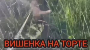 ЖЕСТЬ🤣🤣🤣 ЮЛЯ СТАР. ОБЗОР.