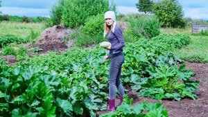 КУПИЛ 2 ДОМА В ДЕРЕВНЕ | ВОТ ПОЧЕМУ Я САЖАЮ КАРТОФЕЛЬ ТАК ПОЗДНО | ПОСАДКА КАРТОШКИ В ИЮНЕ