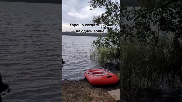 Осень, рыбалка с женой на озере в непогоду. #беларусь #кемпинг #рыбалка #kemping #витебск #природа смотреть онлайн