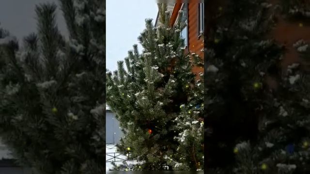 Зимняя сказка