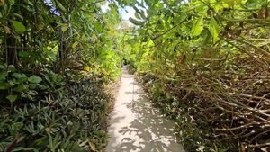 THODDOO MALDIVES'24 | Тодду, Мальдивы, январь 2024г. | часть 1