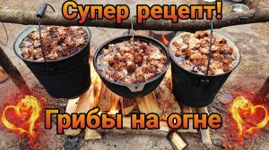 ГРИБЫ НА ОГНЕ