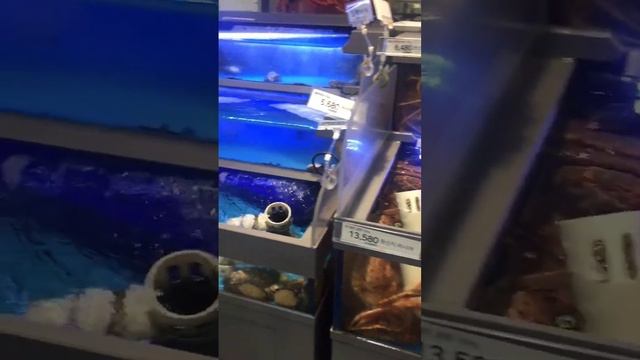 Какое мясо едят корейцы | Korean meat #shorts #koreanfood смотреть онлайн