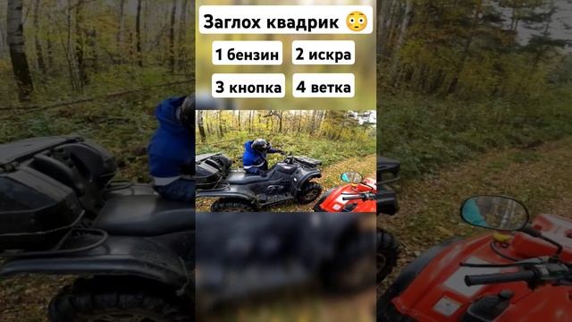 Заглох квадрик в лесу ...#квадропокатушки #tiktok #offroad #travel