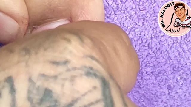 Bye ! bye! Fungus смотреть онлайн