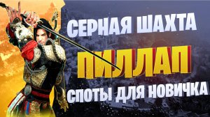 300кк+ споты для новичка ☛ Серная Шахта/ Тюрьма Пиллап ☛ Black Desert