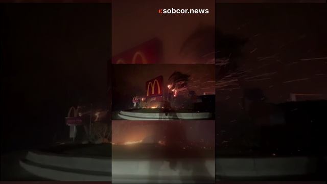 Призрак 2024 года. безумный ветер охватил точку McDonald's