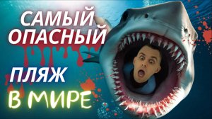 Самый опасный пляж в Мире | Почему акулы нападают на людей?