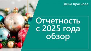 Отчетность с 2025 г. обзор