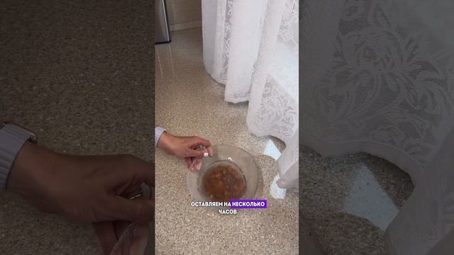 Активируем орехи! Зачем их нужно замачивать? #здоровье #временинет #рецепты смотреть онлайн