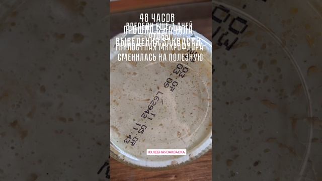 Закваска для хлеба. Хлебная закваска. Выведение. смотреть онлайн