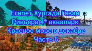 Египет Хургада Гаваи Ривьера аквапарк Красное море декабрь часть 6