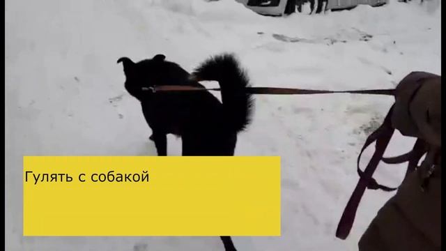Балу. История одного предательства...