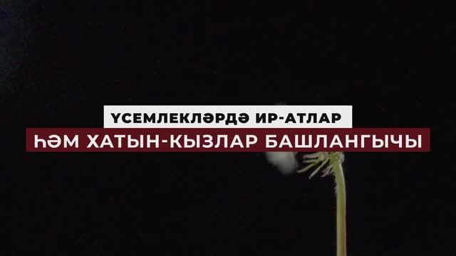 Коръән могҗизалары - 10. Үсемлекләрдә ир-атлар һәм хатын-кызлар башлангычы