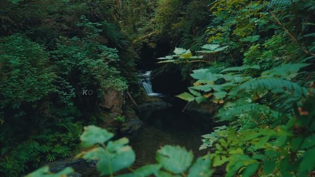 ЖЕНА ИЗМЕНИЛА МУЖУ, НО ОН НАШЕЛ СПОСОБ ЕЙ ПРОСТИТЬ... смотреть онлайн