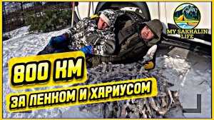 Уехали за 800км, чтобы поймать хариуса и ленка на Сахалине!