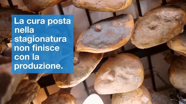 Prosciutto di Parma: Viaggio Gastronomico tra Tradizione e Sapore