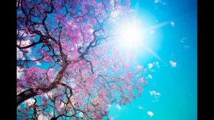 ЕВГЕНИЙ ЛУГОВ. Диагностика кармы. Четыре этапа жизни человека, и Тайная Доктрина Елены Блаватской.