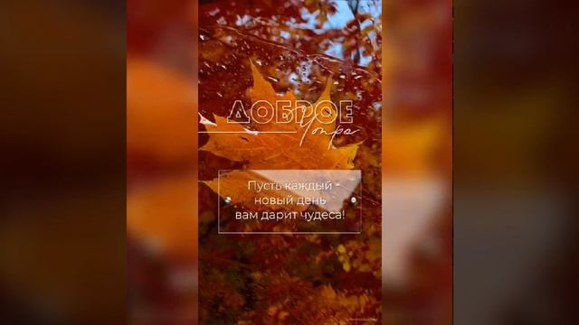 Четверг утро - Опера - mozart- без слов...... смотреть онлайн