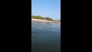 Шерубай-Нура