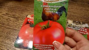Малиновые, сладкие, крупноплодные томаты! Характеристика.