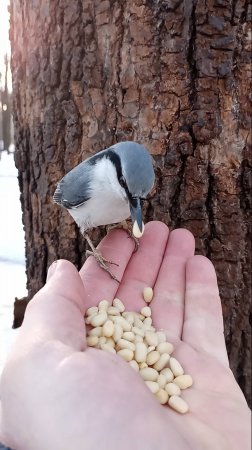 Ещё о поползне