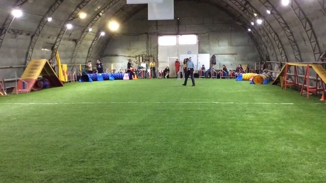 Фризджилити Новички, Чеботаева и Терри смотреть онлайн