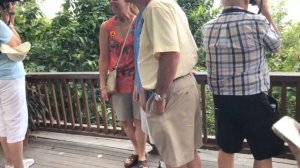 Отдых в Тайланде. Паттайя. 1 серия.