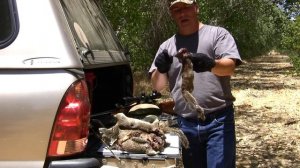 17 HMR Hornady Lead Free / CZ 452 American - Ground Squirrel Hunt Report