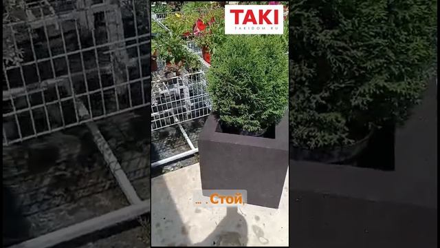 кашпо из пенопласта фигурная резка на станке taki