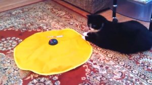 Электронная игрушка для кошек