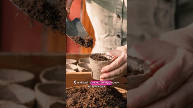 Как организовать место для рассады дома? #рассада #садоводство смотреть онлайн