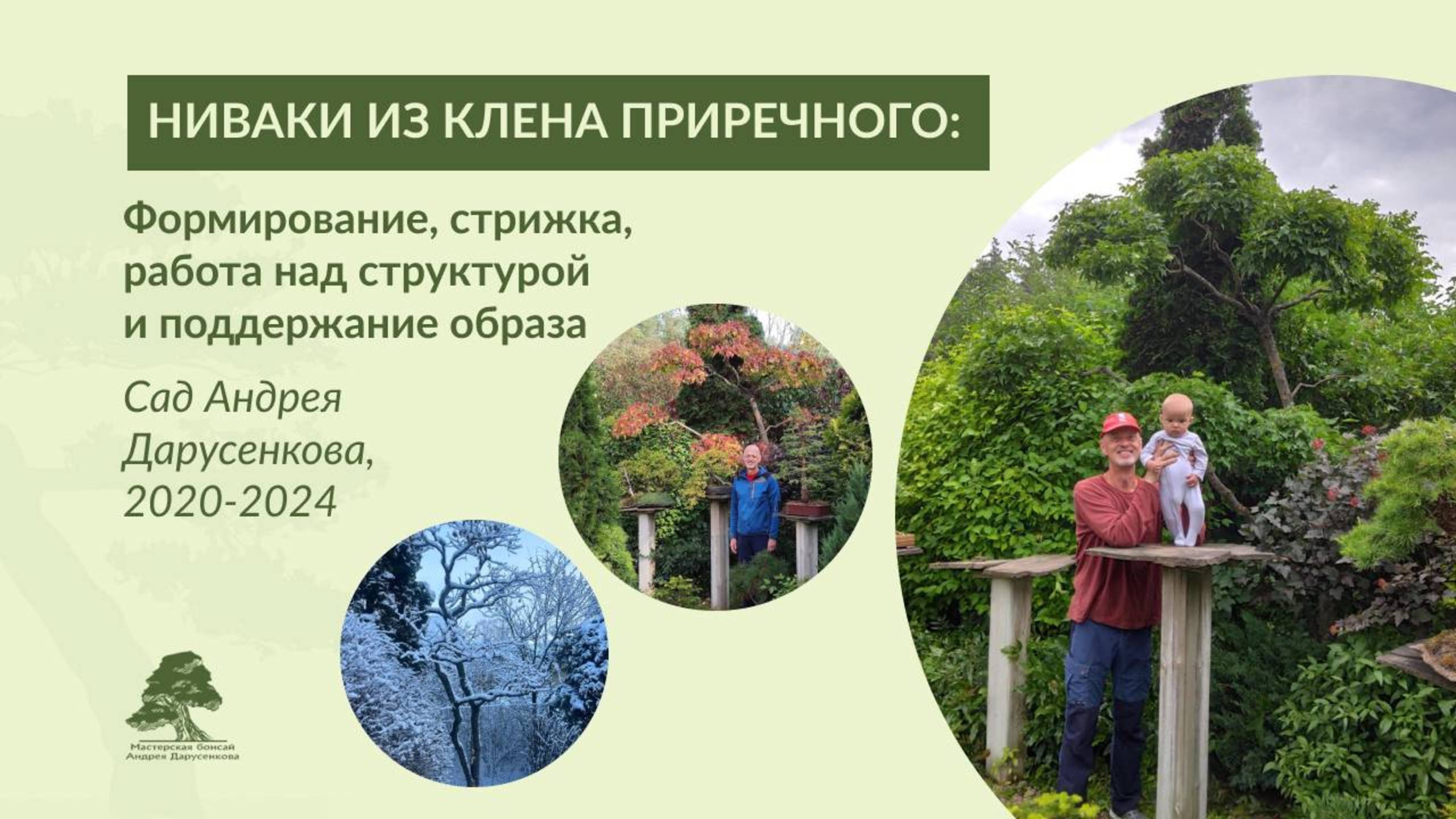 НИВАКИ ИЗ КЛЕНА ПРИРЕЧНОГО