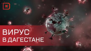 Метапневмовирус в Дагестане