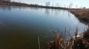 Ставлю мардушу на 24 часа